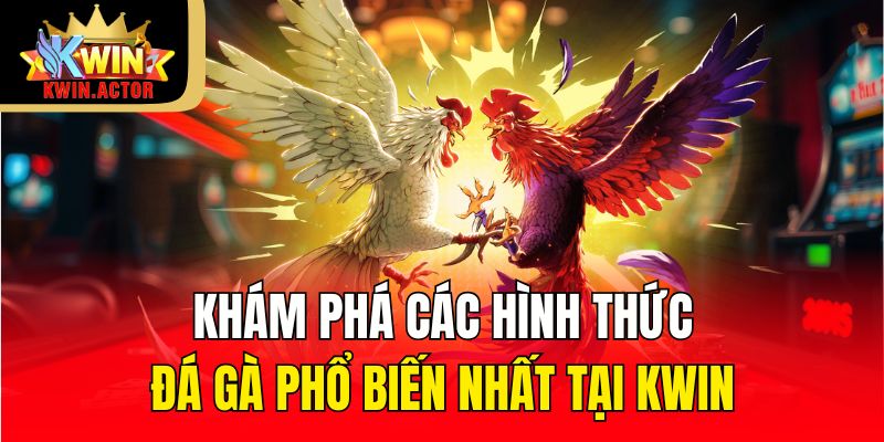 Khám phá các hình thức đá gà phổ biến nhất tại KWIN