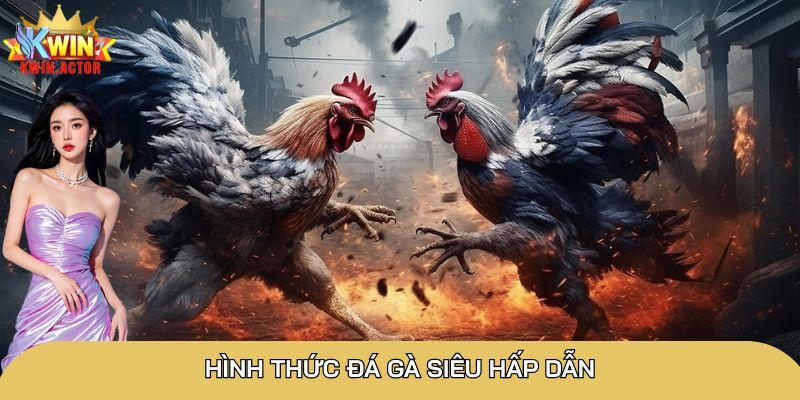 Đá gà cựa dao siêu hấp dẫn, 3 cửa cược đơn giản nhất 2 Hình thức đá gà siêu hấp dẫn